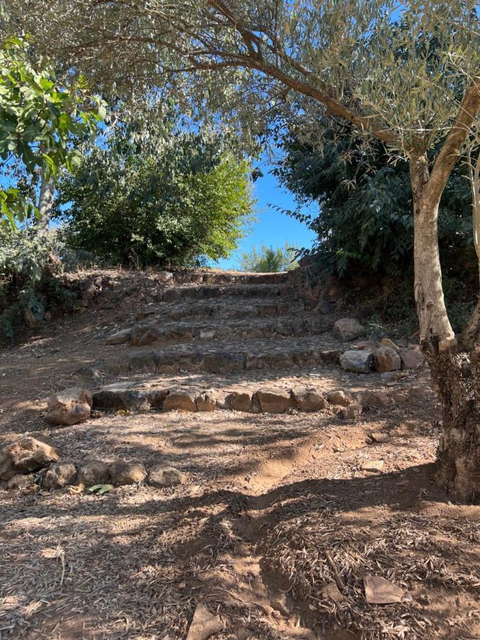 La Casita De Campo Villa Córdoba Buitenkant foto
